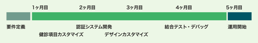 健診結果ウェブ閲覧システムの導入スケジュール